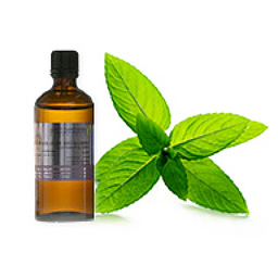 Peppermint Japanese - 1/2 fl. oz.