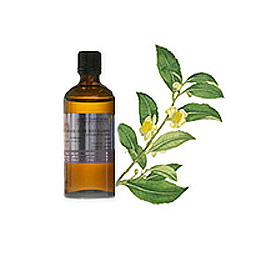 Tea Tree (Lemon) - 1/2 fl. oz.