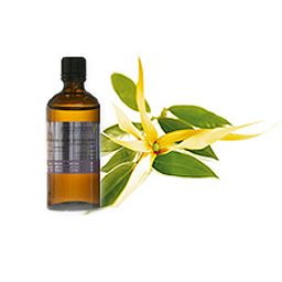 Ylang Ylang (grade #3) - 1/2 fl. oz.